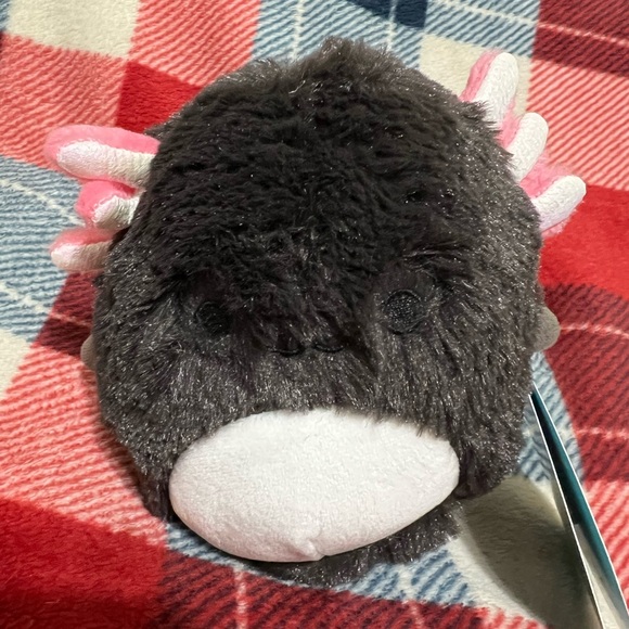 Squishmallows Other - Squishmallows 5” FuzzAmallow Jaelyn the Axolotl